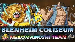 [OPTC] Chaos Coliseum: Blenheim 30 Stamina (2:08) - Double Legend Nekomamushi