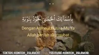 TAWASU Sayid walit