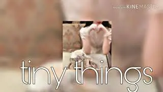 《Reupload》•small boobs•visual•