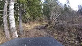 171022 - В поисках Березовых Чаш / Suzuki Escudo