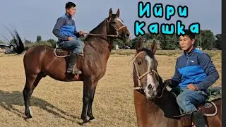Катуу багыптыр 👆 Улакгына келилдик бар дейт 💥