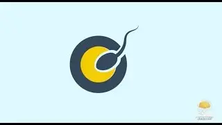 كيف يعالج الجسم أمراضه بنفسه