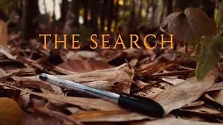 The Search: A Quest for the Ultimate Engine