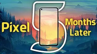 Google Pixel 5 Long Term Review: Not Pixel Perfect?!