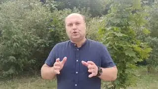 Денис Сидоров: Все силы – на здравоохранение!