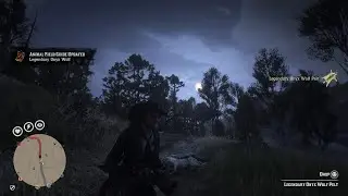Red Dead Online - Legendary Onyx Wolf