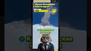🔥 Вулкан Вильяррика в Чили не шутит!