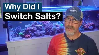 Why Did I Switch Salts?