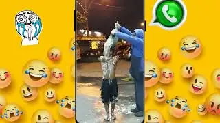 ZAP VIDEOS ZUEIRA -MELHORES VIDEOS DO ZAP *2023* 