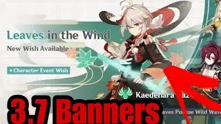 V3.7 KAZUHA RERUN + BANNERS SPECULATIONS | GENSHIN IMPACT