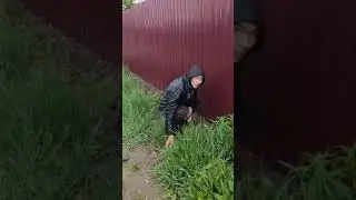 Наркоман ищет под забором закладку среди дня #наркота #альфа #альфапвп #неадекват #меф #закладчик