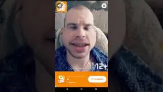 Птицы рулят! #1