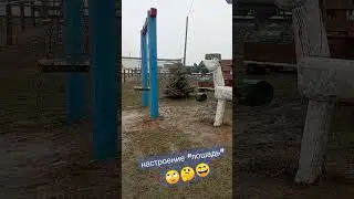 настроение 