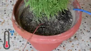 Plant Monitoring and Watering with evive