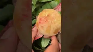 Sweet peaches, decompression video❤🔥Fruit Unzip Video