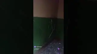 тутуту:)))