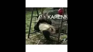 Nonsense animals