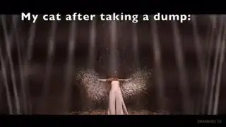 Eurovision 2024: Most Memeworthy Moments
