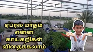 April month vegetables list | ஏப்ரல் மாதம் என்ன காய்கறிகள் விதைக்கலாம்