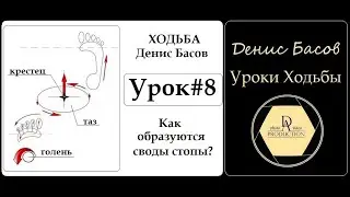 Д.Басов. Уроки Осознанной Ходьбы. D&Aproduction photo_video
