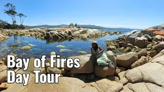 Tasmania | Discover the HIDDEN Gems of Bay of Fires Day Tour