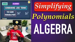 Simplifying Polynomials by combining like terms (Algebra Basics) | Lessonade