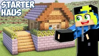 Minecraft Starter Haus bauen Tutorial 1.20 - Starter Haus bauen in Minecraft Survival Tutorial