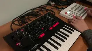 House - Korg Monologue, Model:Samples