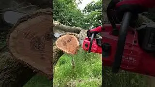 How Powerful is the NEW Milwaukee 20" Fuel Dual Battery Chainsaw?