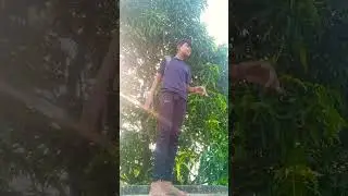 New Funny Video || New Comedy Video #shortsvideo #funnyvideo #trending #funnyshorts #comedy #shorts