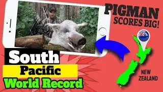 South Pacific World Record Wild Hog Archery Kill on Camera!!