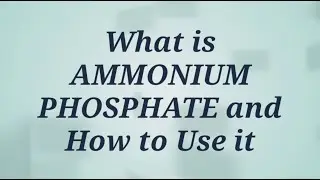 What is AMMONIUM PHOSPHATE and HOW to USE it | 16% Nitrogen 20% Phosphorus 0 Potassium Fertilizer