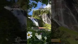 Прекрасного дня!