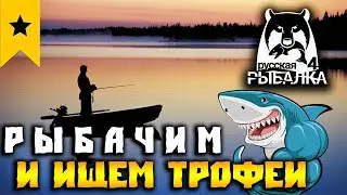 ▶ ФАРМ,МИНИ РОЗЫГРЫШИ,И ПОИСК ТРОФЕЕВ | РУССКАЯ РЫБАЛКА 4 | СТРИМ ▶