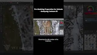 Pre-Modeling Preparation for Animals - Analyzing Contours 01 #blender #blender3d