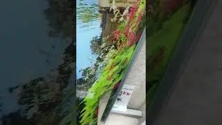 Двери гармошка, двери складывающиеся, двери гармошка в шкаф, двери в шкаф