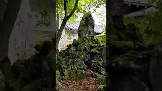 Kawaguchiko Field Center / Funatsu Lava Tree Molds near Mt.Fuji. Yamanashi, Japan #shorts