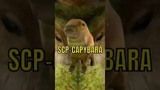 14.0 The Secret Capybara Update!