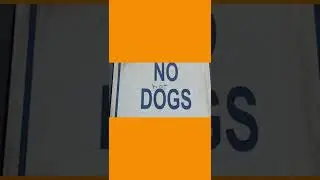 r/MildlyVandalised NO HOT DOGS