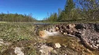 Лесная речка