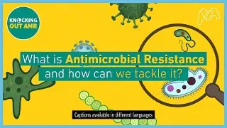What is Antimicrobial Resistance (AMR) and how can we tackle it?