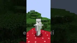 minecraft filmi çıkıyor 📽️