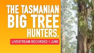 Tasmanian Big Tree Hunters Full Livestream Event.