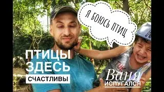 Остров Бали. Зимовка на Бали с детьми. Парк птиц на Бали. Места для семейного отдыха на Бали.