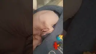 коте плохо котю вырвава