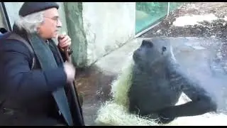 conversando com o macaco