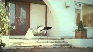 Чего ты добился в жизни?