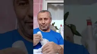 Layd süt icerken