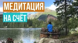 День 4. ОБЛЕГЧЕННЫЙ ВАРИАНТ ПРАКТИКИ С ФОКУСОМ НА СЧЁТ. Медитация для новичков.