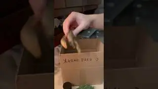 Варим РАКОВ дома с СЕКРЕТНЫМИ СПЕЦИЯМИ😉 